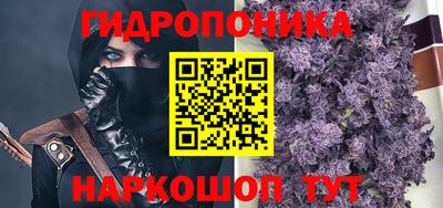гидра Нальчик