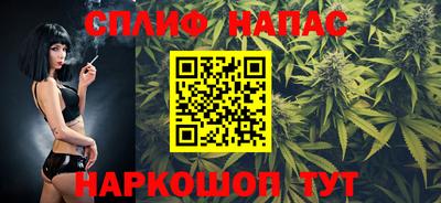 гидра Нальчик