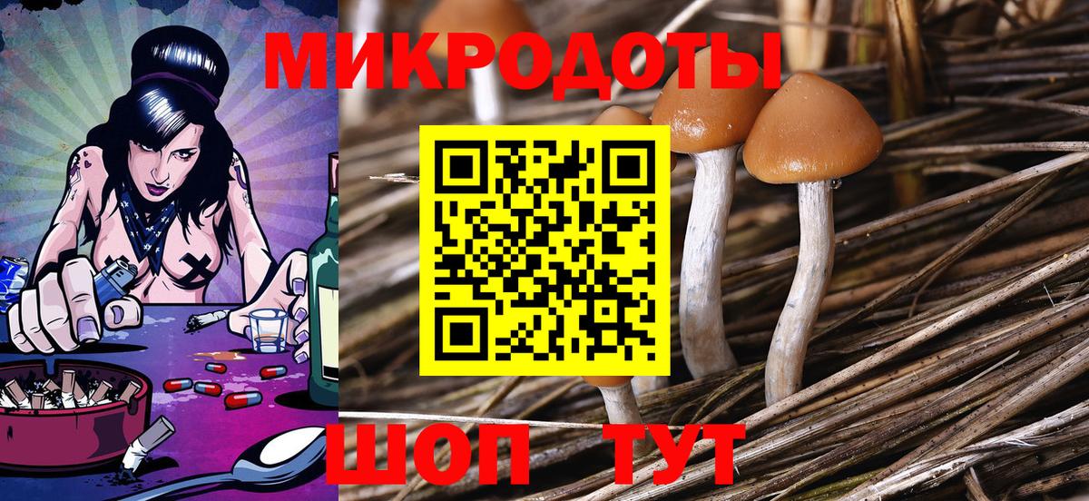 Галлюциногенные грибы Cubensis  Вход с VPN  Гудермес 