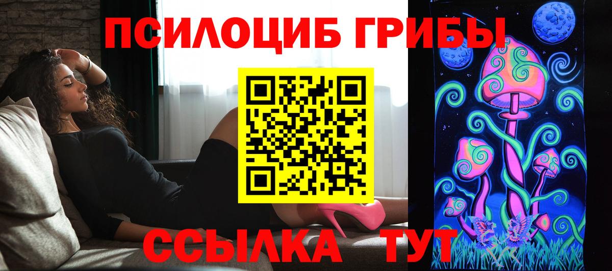 Псилоцибиновые грибы Magic Shrooms Гудермес