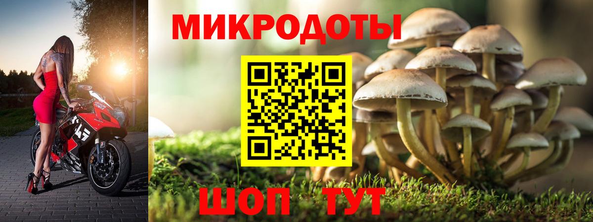 Псилоцибиновые грибы мицелий  Гудермес 